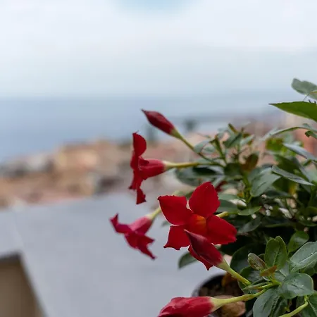 Guest house Humboldt Luxury *